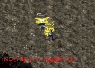 网虫传奇新手如何快速提升等级? 网虫传奇新手如何快速提升等级?