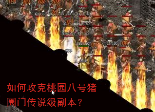 ��ι�����԰�˺���Ȧ�Ŵ�˵��������