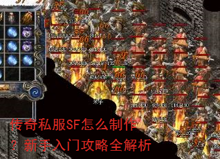 ����˽��SF��ô�������������Ź���ȫ����