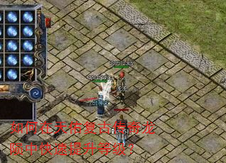 ��������Ӹ��Ŵ��������п��������ȼ���