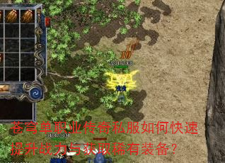 苍穹单职业传奇私服如何快速提升战力与获取稀有装备? 苍穹单职业传奇私服如何快速提升战力与获取稀有装备?