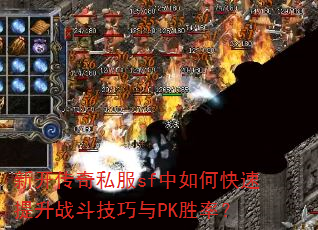 �¿�����˽��sf����ο�������ս��������PKʤ�ʣ�