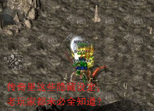��������Щ�����趨������Ҷ�δ��ȫ֪����