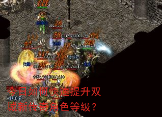 今日如何快速提升双城新传奇角色等级? 今日如何快速提升双城新传奇角色等级?