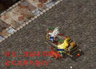 卧龙山庄副本有哪些必知攻略与技巧? 卧龙山庄副本有哪些必知攻略与技巧?