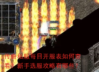 传奇私服每日开服表如何查看?新手选服攻略有哪些? 传奇私服每日开服表如何查看?新手选服攻略有哪些?