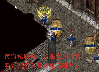 传奇私服每日开服表如何查看?新手选服攻略有哪些? 传奇私服每日开服表如何查看?新手选服攻略有哪些?