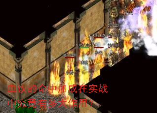 Ѫ�������мӳ���ʵս�о����ж�����ã�