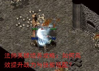 ��ʦӢ���������ԣ���θ�Ч����ս���뼼�ܴ��䣿