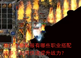 ���Ŵ���˽������Щְҵ�����Ƽ�����ο�������ս����