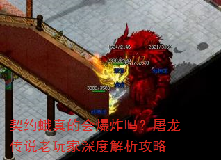 契约蛾真的会爆炸吗?屠龙传说老玩家深度解析攻略 契约蛾真的会爆炸吗?屠龙传说老玩家深度解析攻略