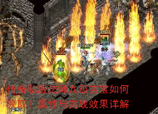 ����˽����ʦ�ż�������λ�ȡ��������ʵսЧ�����