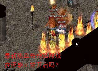 ������Ѫ����˽�����ڻ�������������