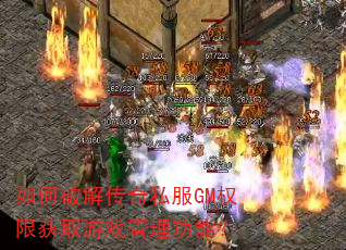 ����ƽ⴫��˽��GMȨ�޻�ȡ��Ϸ�������ܣ�