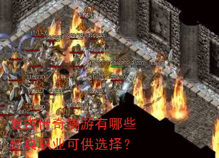 ���Ŵ����������Щ����ְҵ�ɹ�ѡ��