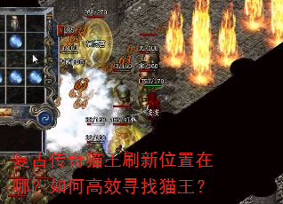 ���Ŵ���è��ˢ��λ�����ģ���θ�ЧѰ��è����