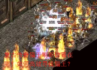 ���Ŵ���è��ˢ��λ�����ģ���θ�ЧѰ��è����
