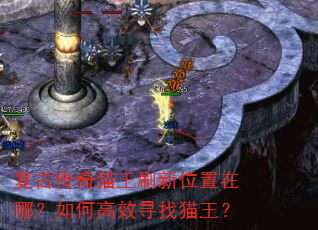 ���Ŵ���è��ˢ��λ�����ģ���θ�ЧѰ��è����