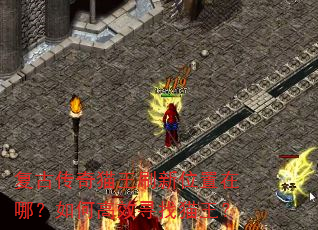 ���Ŵ���è��ˢ��λ�����ģ���θ�ЧѰ��è����