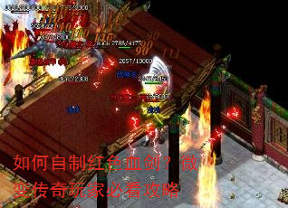 ������ƺ�ɫѪ����΢�䴫����ұؿ�����