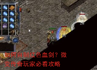 ������ƺ�ɫѪ����΢�䴫����ұؿ�����