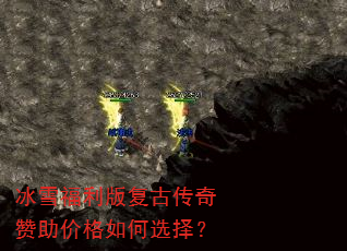 ��ѩ�����渴�Ŵ��������۸����ѡ��