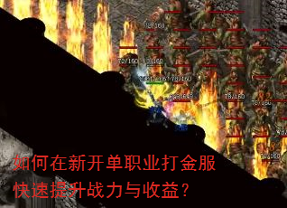 ������¿���ְҵ������������ս�������棿