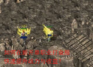 ������¿���ְҵ������������ս�������棿