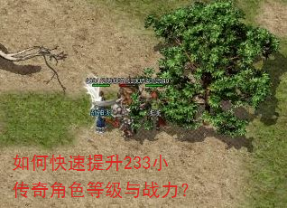 如何快速提升233小传奇角色等级与战力? 如何快速提升233小传奇角色等级与战力?