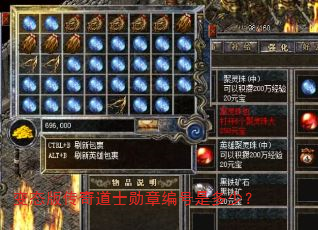 变态版传奇道士勋章编号是多少? 变态版传奇道士勋章编号是多少?