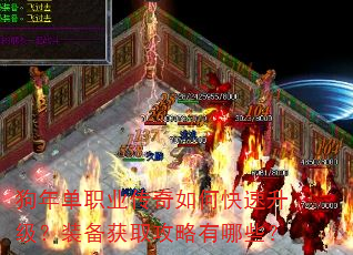 ���굥ְҵ������ο���������װ����ȡ��������Щ��
