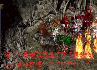 ����̬����˽���������ֻ���ô�棿���ֿ�������������ʲô��