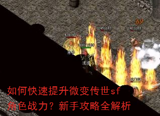 如何快速提升微变传世sf角色战力?新手攻略全解析 如何快速提升微变传世sf角色战力?新手攻略全解析