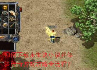 �������������С˵�����鴫����Ϸ����ȫ���̣�