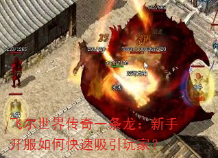�ɶ����紫��һ���������ֿ�����ο���������ң�