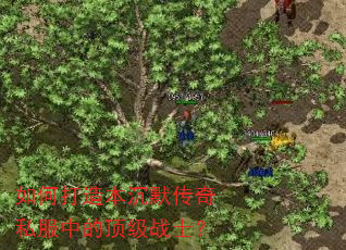 ��δ��챾��Ĭ����˽���еĶ���սʿ��