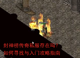 �������˽�����������Ѱ�������Ź���ָ��