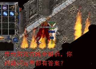 ������Ϸ����ȫ����������������ﶼ�д𰸣�