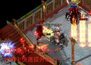 �����sf123��ְҵ�����п�������ս����