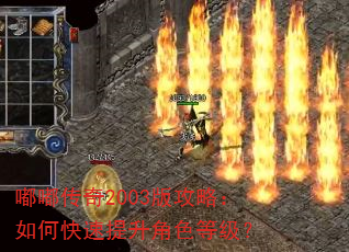 �ུ���2003�湥�ԣ���ο���������ɫ�ȼ���