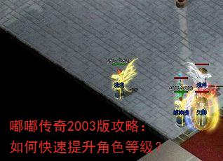 �ུ���2003�湥�ԣ���ο���������ɫ�ȼ���