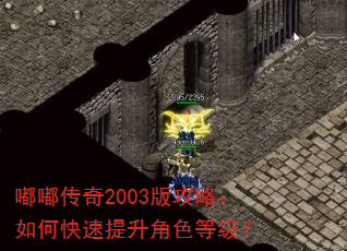 �ུ���2003�湥�ԣ���ο���������ɫ�ȼ���