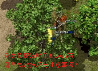 ��ʧ���淨ʦ��ˢboss����Щ��Ч������ע�����