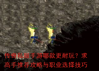 ����˽�������Ŀ�����棿������Ƽ�������ְҵѡ����