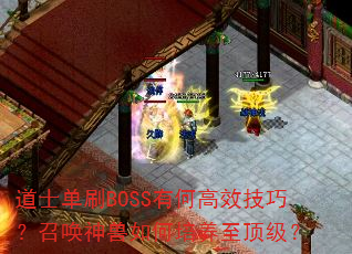 ��ʿ��ˢBOSS�кθ�Ч���ɣ��ٻ��������������������