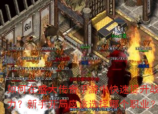 �����ʢ���������п�������ս�������ֿ���Ӧ��ѡ���ĸ�ְҵ��