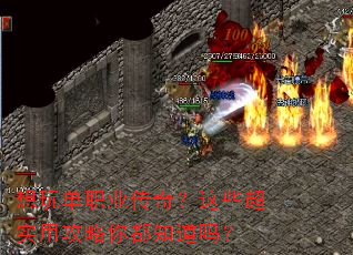 ���浥ְҵ���棿��Щ��ʵ�ù����㶼֪����