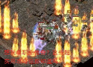 ���浥ְҵ���棿��Щ��ʵ�ù����㶼֪����